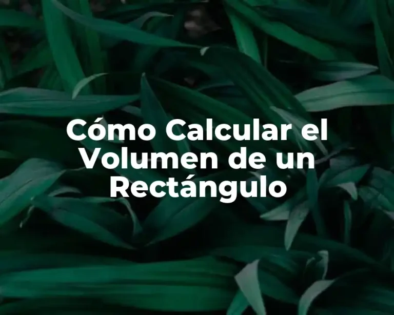 Cómo Calcular el Volumen de un Rectángulo