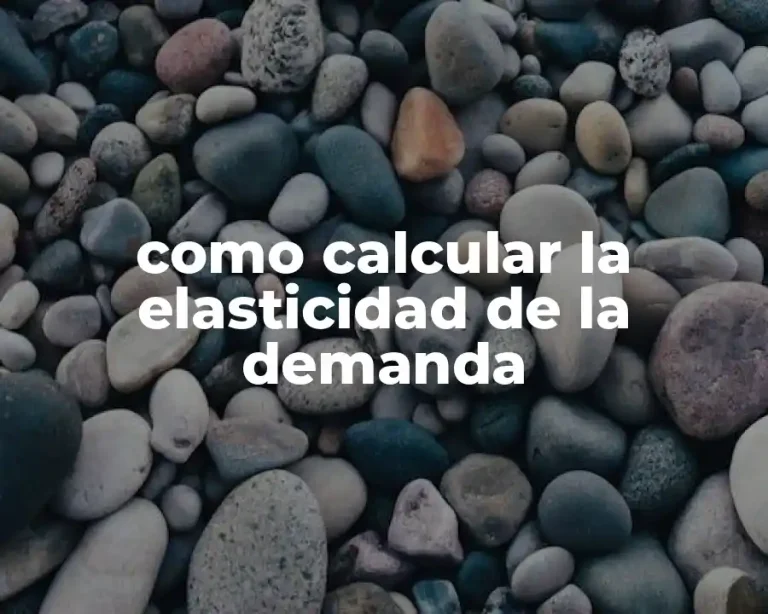 como calcular la elasticidad de la demanda