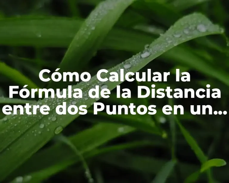 Cómo Calcular la Fórmula de la Distancia entre dos Puntos en un Plano