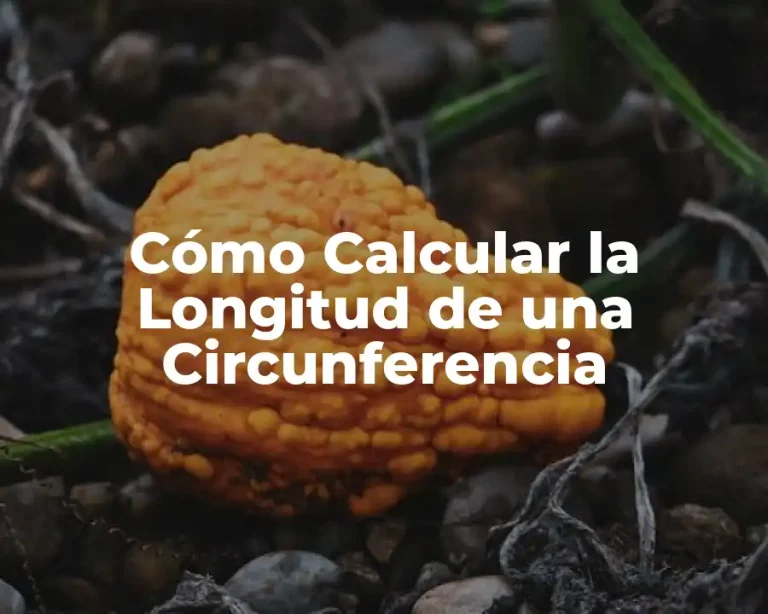 Cómo Calcular la Longitud de una Circunferencia