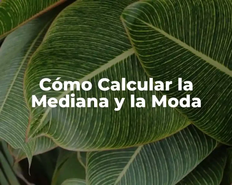 Cómo Calcular la Mediana y la Moda