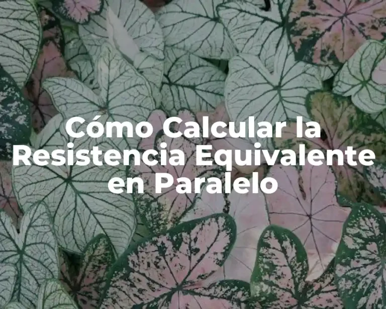 Cómo Calcular la Resistencia Equivalente en Paralelo