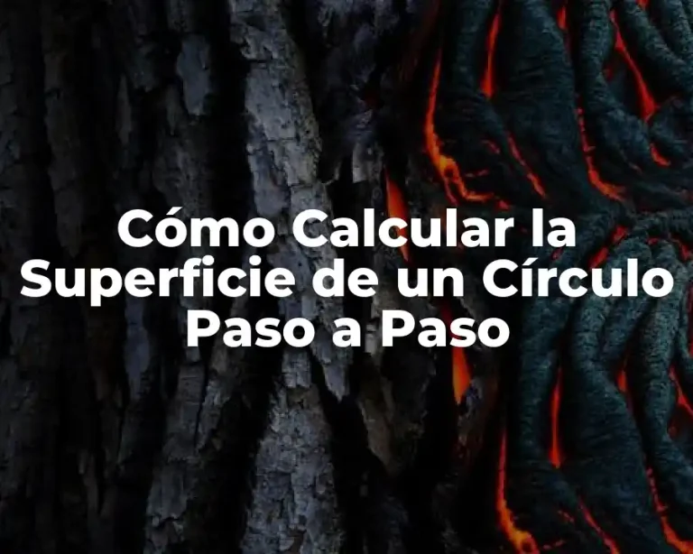 Cómo Calcular la Superficie de un Círculo Paso a Paso