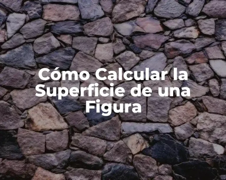 Cómo Calcular la Superficie de una Figura