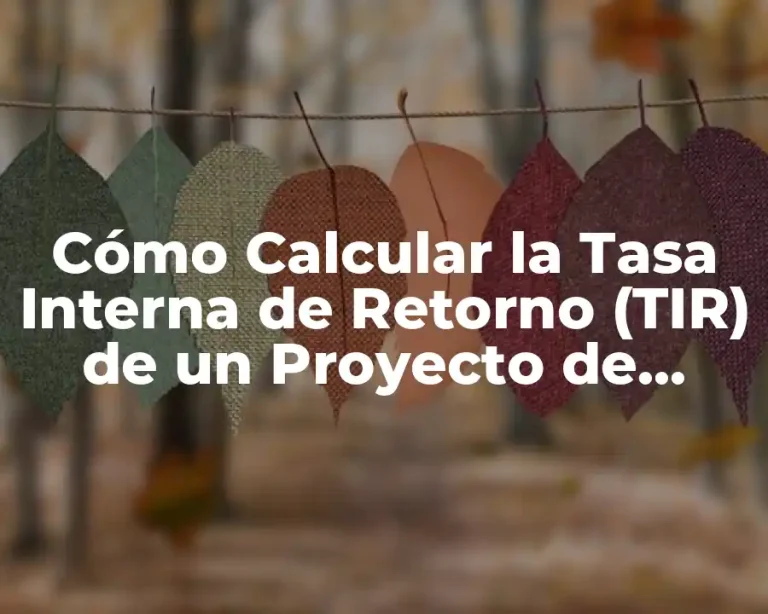 Cómo Calcular la Tasa Interna de Retorno (TIR) de un Proyecto de Inversión