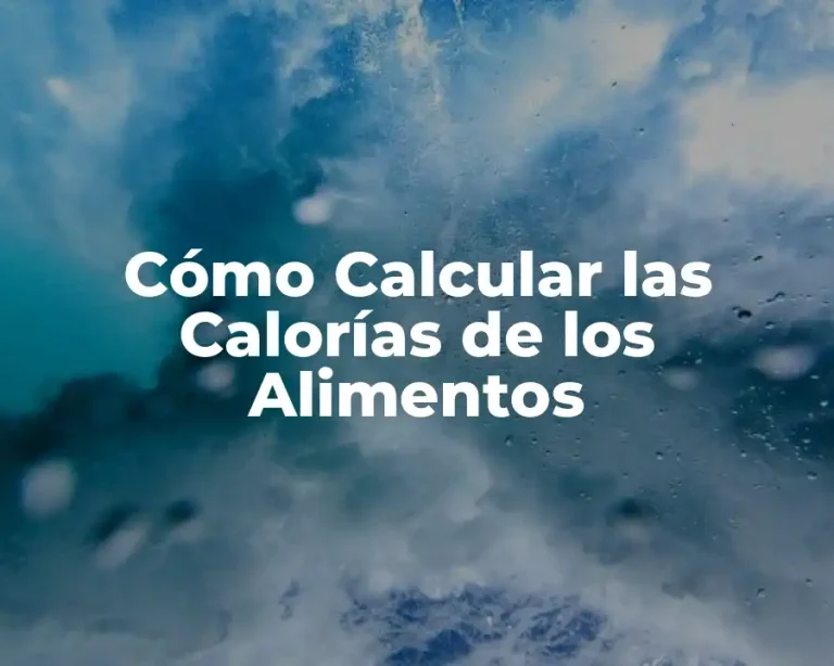 Cómo Calcular las Calorías de los Alimentos