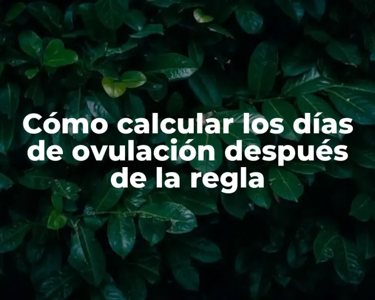 Cómo calcular los días de ovulación después de la regla