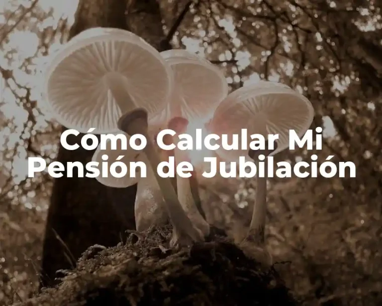 Cómo Calcular Mi Pensión de Jubilación