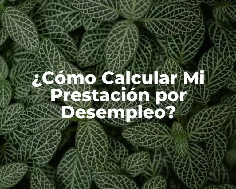 ¿Cómo Calcular Mi Prestación por Desempleo?