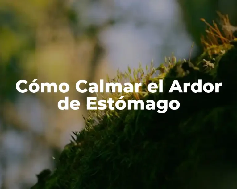 Cómo Calmar el Ardor de Estómago