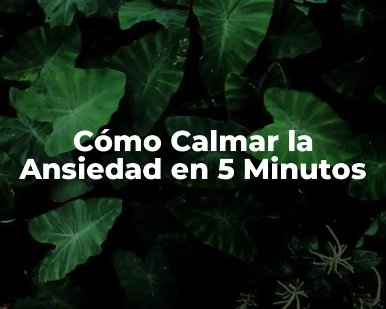 Cómo Calmar la Ansiedad en 5 Minutos
