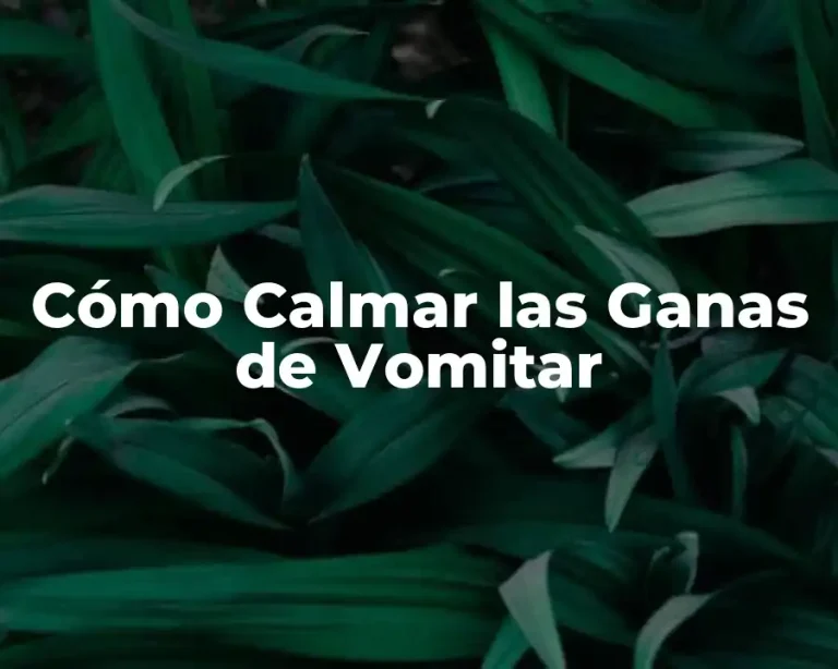 Cómo Calmar las Ganas de Vomitar
