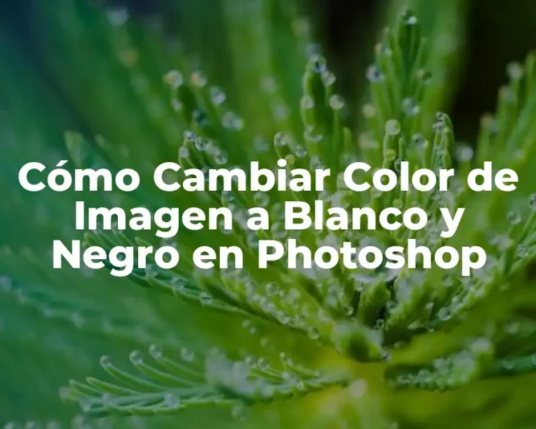 Cómo Cambiar Color de Imagen a Blanco y Negro en Photoshop