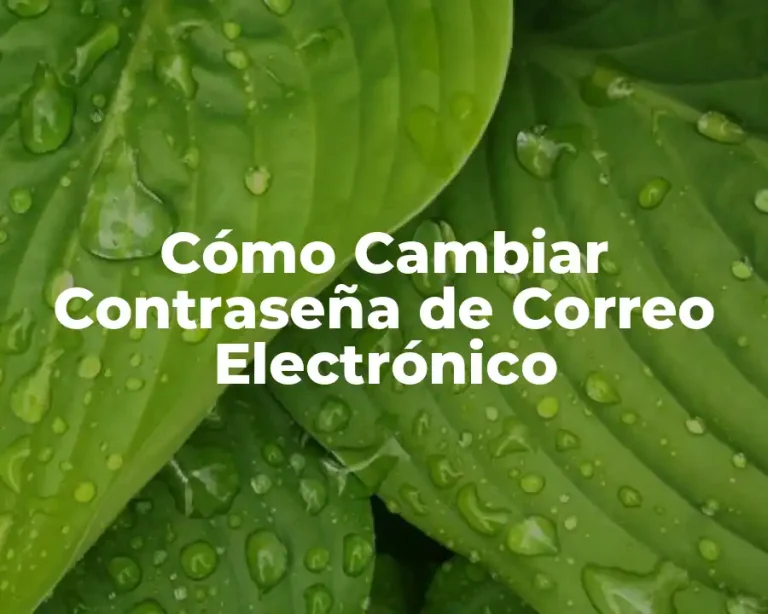 Cómo Cambiar Contraseña de Correo Electrónico