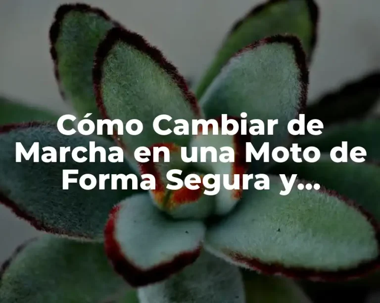 Cómo Cambiar de Marcha en una Moto de Forma Segura y Efectiva