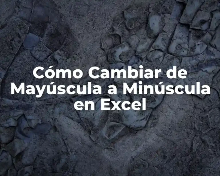Cómo Cambiar de Mayúscula a Minúscula en Excel
