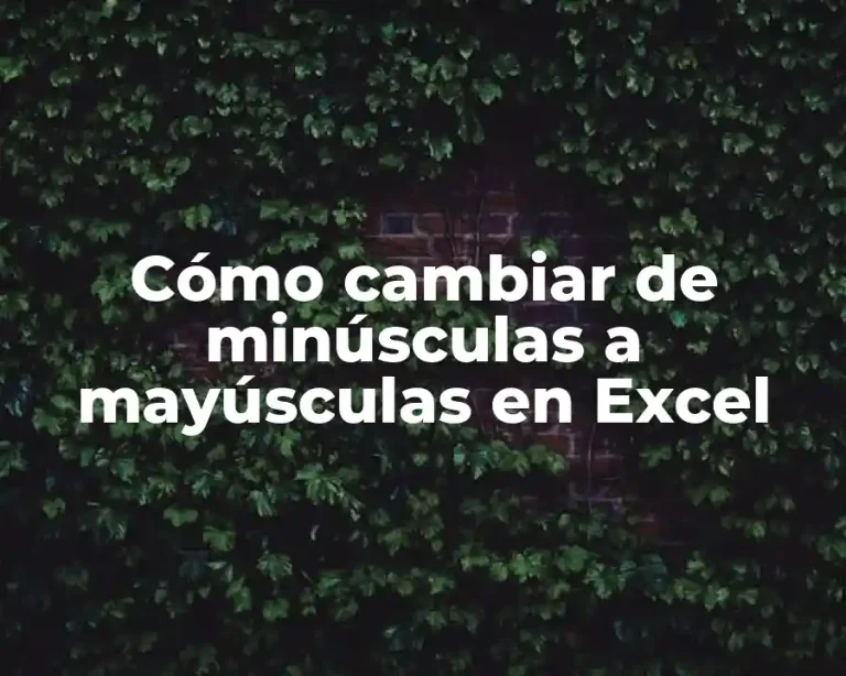 Cómo cambiar de minúsculas a mayúsculas en Excel