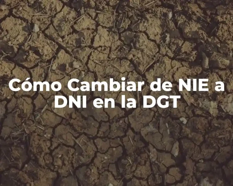Cómo Cambiar de NIE a DNI en la DGT