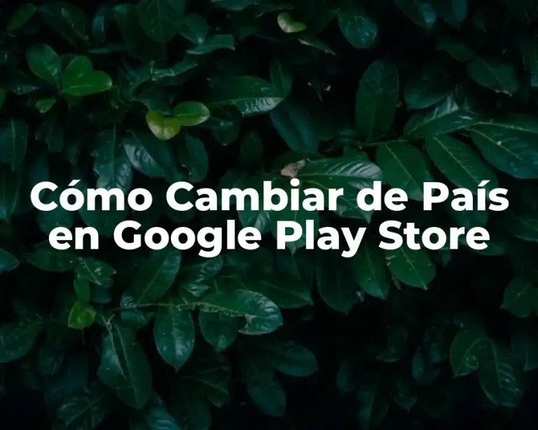 Cómo Cambiar de País en Google Play Store