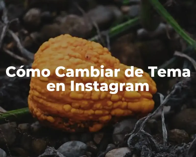 Cómo Cambiar de Tema en Instagram