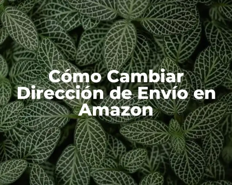 Cómo Cambiar Dirección de Envío en Amazon
