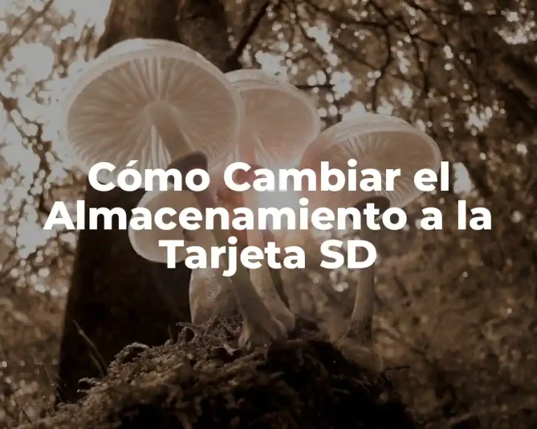 Cómo Cambiar el Almacenamiento a la Tarjeta SD