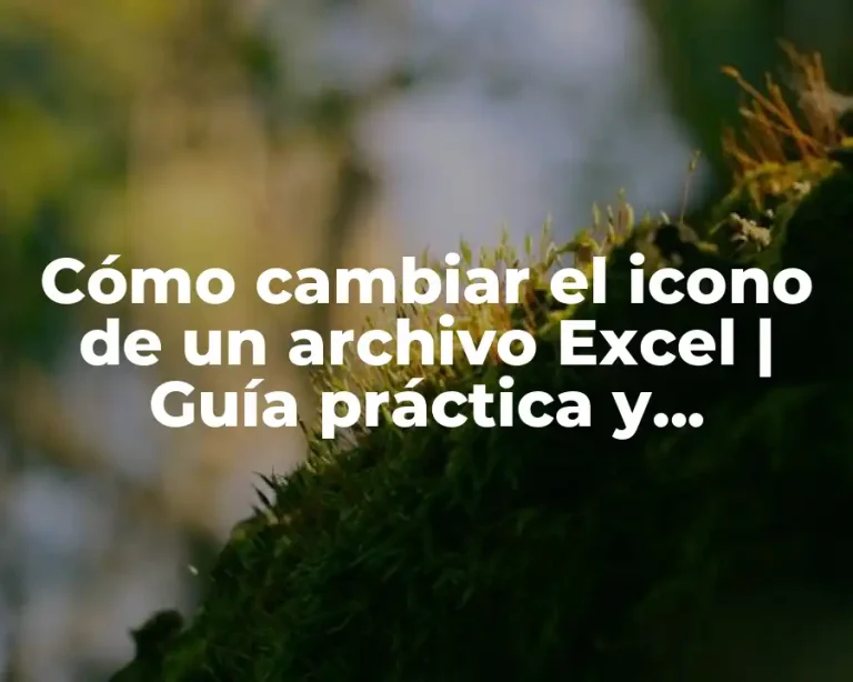 Cómo cambiar el icono de un archivo Excel | Guía práctica y detallada