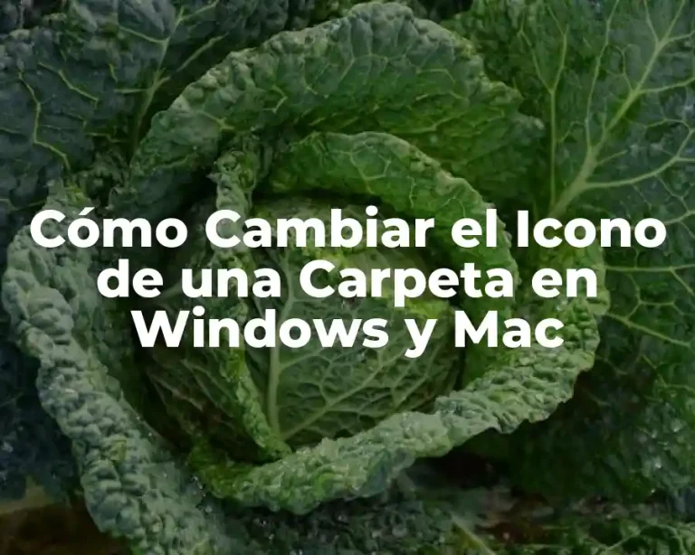 Cómo Cambiar el Icono de una Carpeta en Windows y Mac