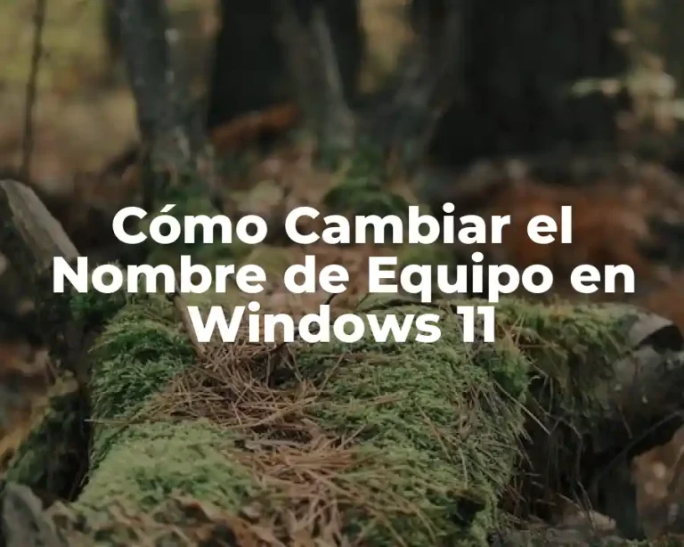 Cómo Cambiar el Nombre de Equipo en Windows 11