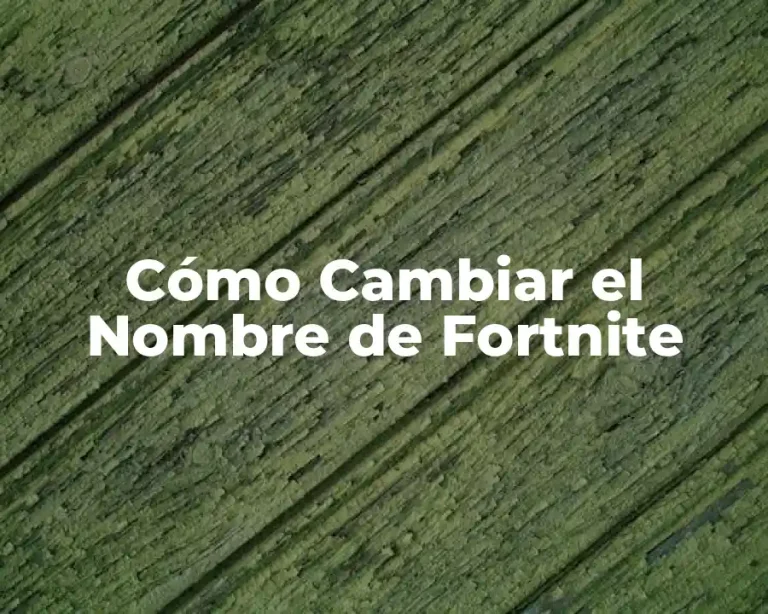 Cómo Cambiar el Nombre de Fortnite