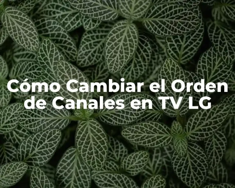 Cómo Cambiar el Orden de Canales en TV LG
