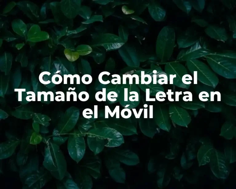 Cómo Cambiar el Tamaño de la Letra en el Móvil