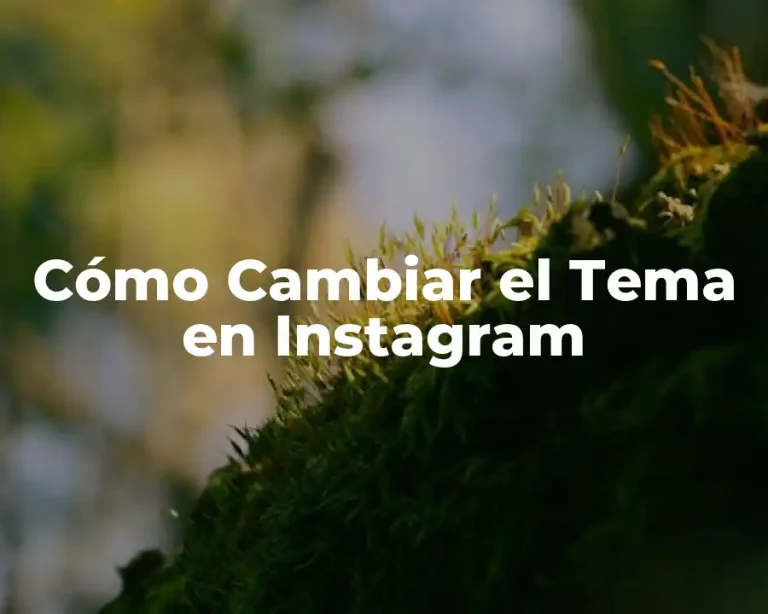 Cómo Cambiar el Tema en Instagram