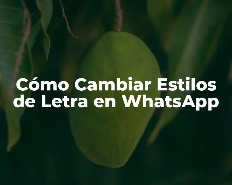 Cómo Cambiar Estilos de Letra en WhatsApp