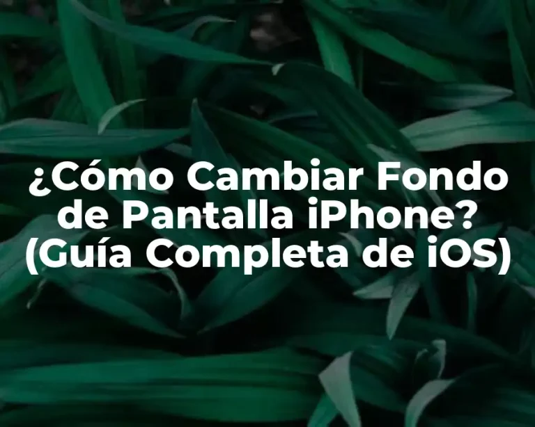¿Cómo Cambiar Fondo de Pantalla iPhone? (Guía Completa de iOS)