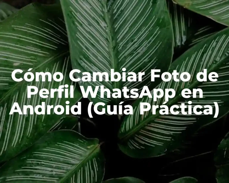 Cómo Cambiar Foto de Perfil WhatsApp en Android (Guía Práctica)