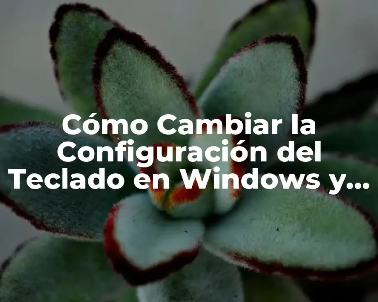 Cómo Cambiar la Configuración del Teclado en Windows y Mac