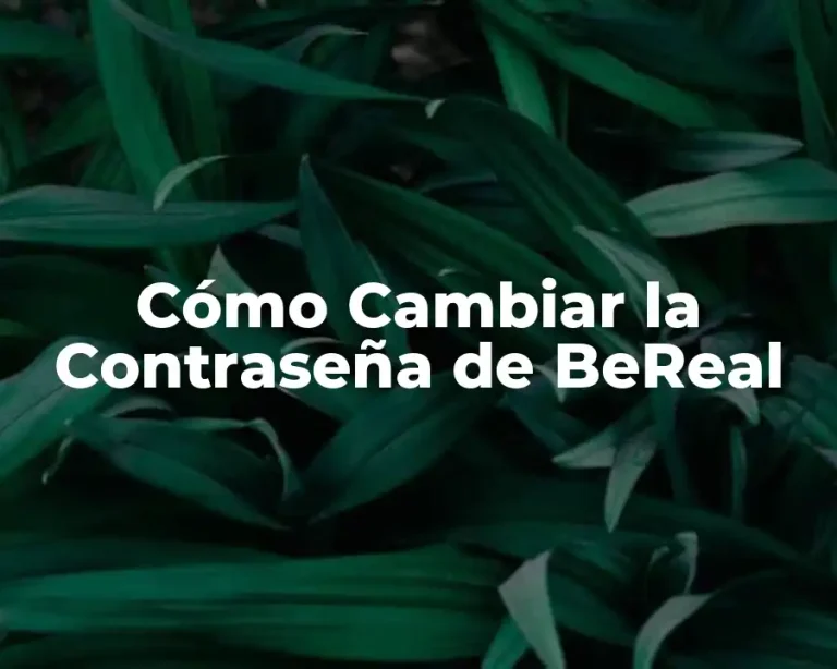 Cómo Cambiar la Contraseña de BeReal