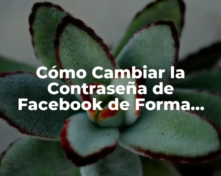 Cómo Cambiar la Contraseña de Facebook de Forma Segura y Rápida