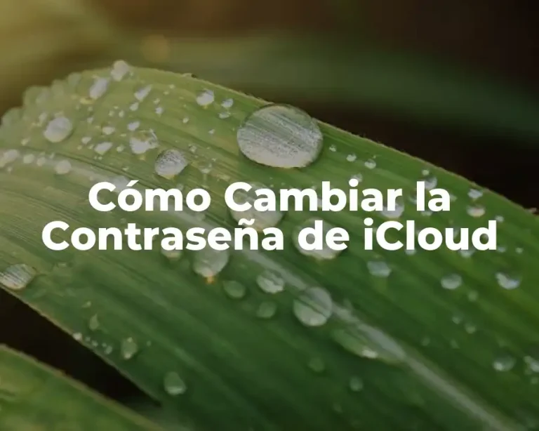 Cómo Cambiar la Contraseña de iCloud