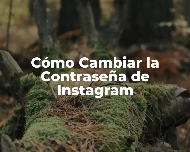 Cómo Cambiar la Contraseña de Instagram