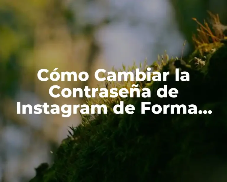 Cómo Cambiar la Contraseña de Instagram de Forma Segura y Fácil