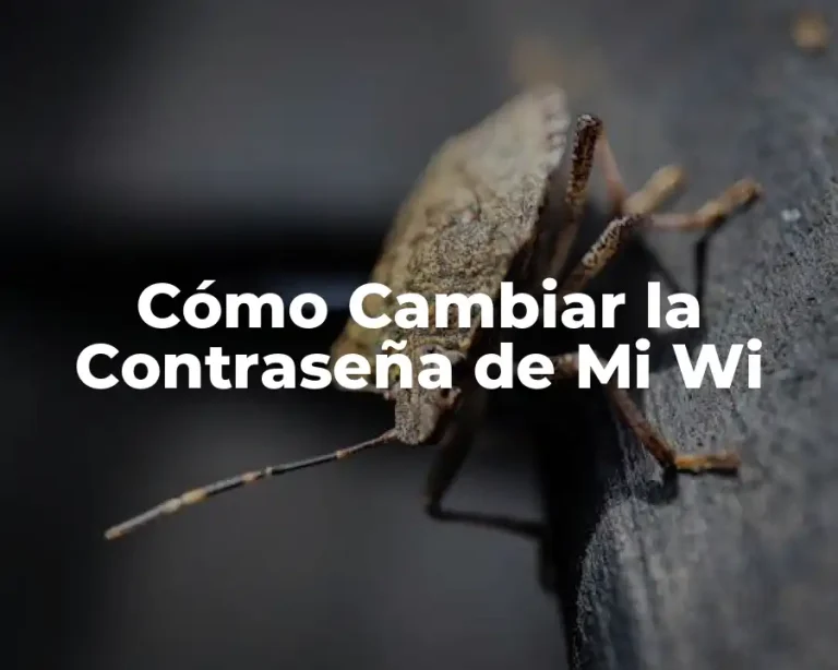 Cómo Cambiar la Contraseña de Mi Wi