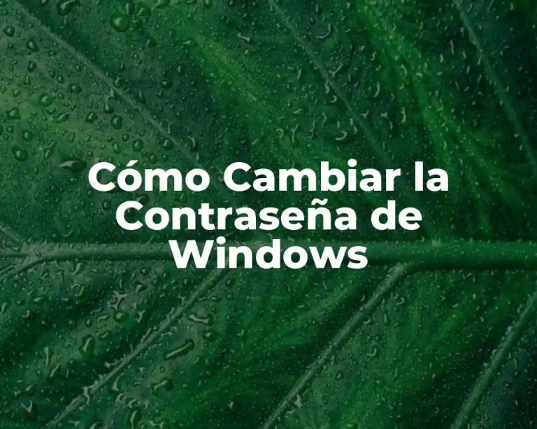 Cómo Cambiar la Contraseña de Windows