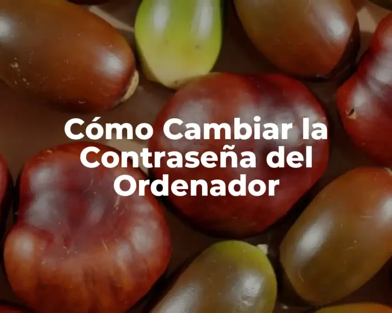 Cómo Cambiar la Contraseña del Ordenador