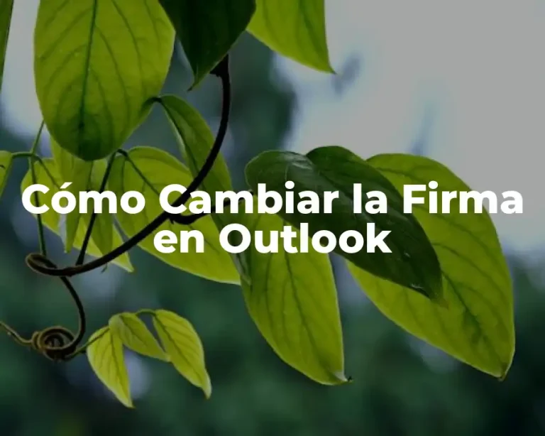 Cómo Cambiar la Firma en Outlook