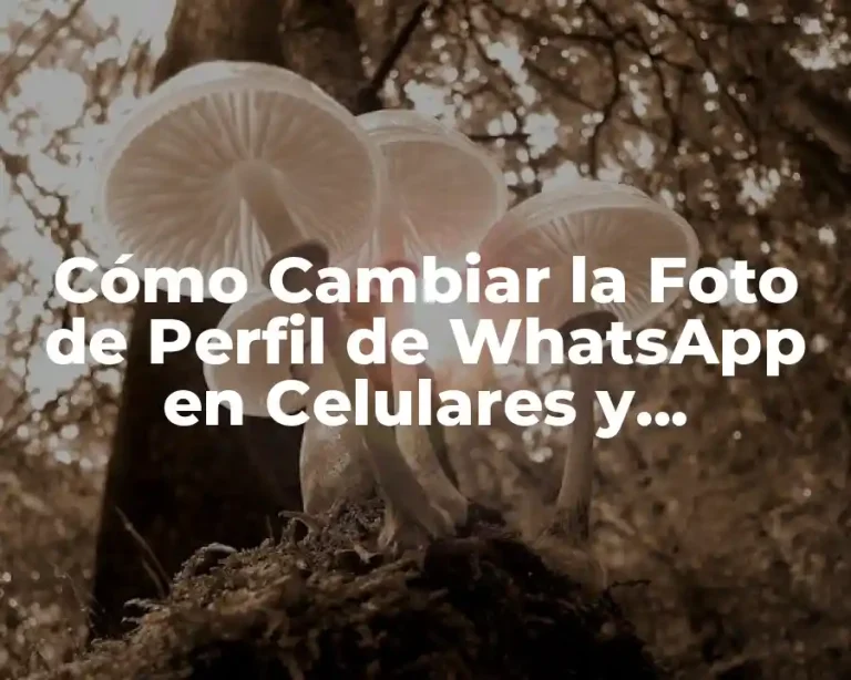 Cómo Cambiar la Foto de Perfil de WhatsApp en Celulares y Computadoras