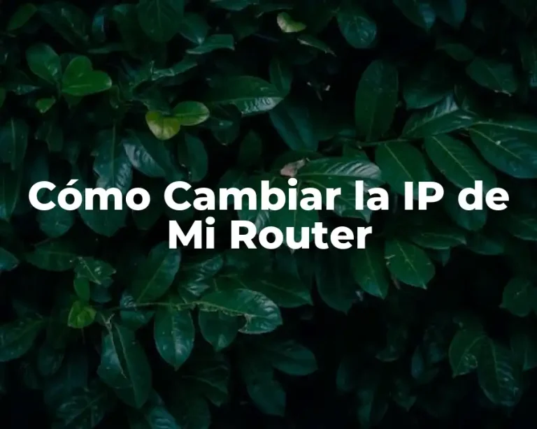 Cómo Cambiar la IP de Mi Router