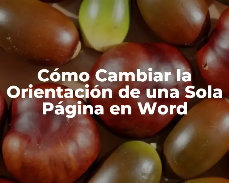 Cómo Cambiar la Orientación de una Sola Página en Word