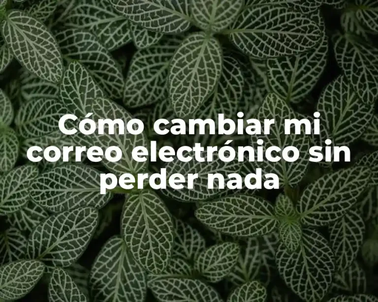 Cómo cambiar mi correo electrónico sin perder nada